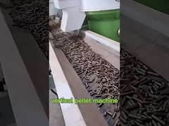 Máy nén hạt sinh khối dọc công suất lớn woo