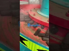 Máy nướng sinh khối