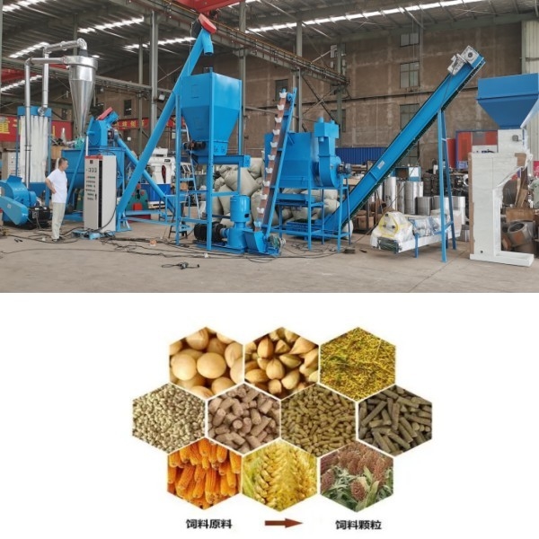 Dây chuyền sản xuất viên thức ăn chăn nuôi Gà Bò Cừu Gia cầm Máy nghiền viên Dây chuyền sản xuất viên thức ăn chăn nuôi