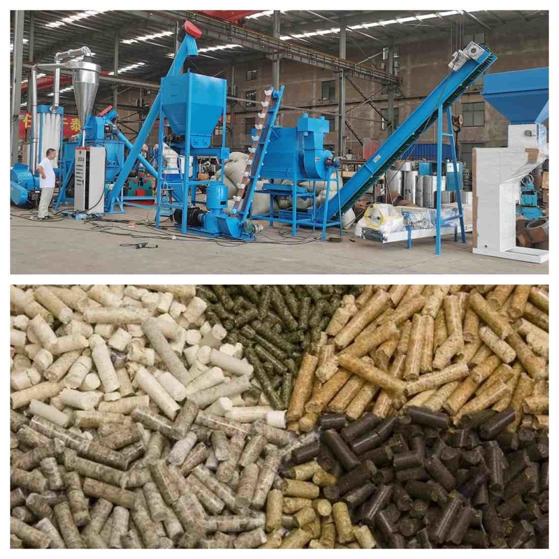 Dây chuyền sản xuất viên thức ăn chăn nuôi 1000kg/H Máy tạo viên thức ăn viên 1-12mm