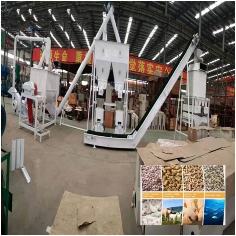 Dây chuyền sản xuất thức ăn viên trang trại 20 tấn / H Máy làm thức ăn gia súc hoàn chỉnh