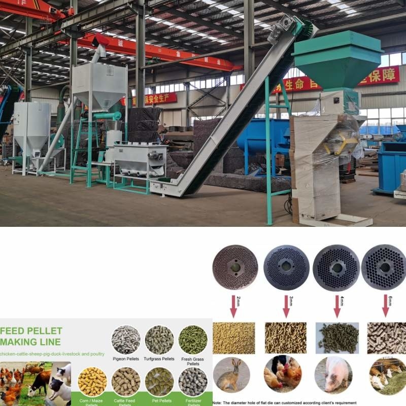 1Ton Chăn nuôi Máy móc thức ăn chăn nuôi Máy làm viên cỏ Máy làm lúa mì ngô