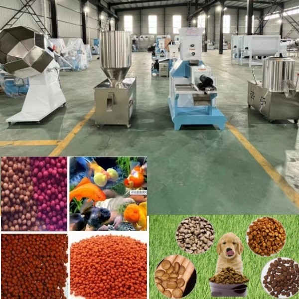 Máy chế biến thức ăn cho vật nuôi Máy thức ăn cho chó Dây chuyền sản xuất thức ăn cho cá nổi Máy chế biến thức ăn chăn nuôi chất lượng