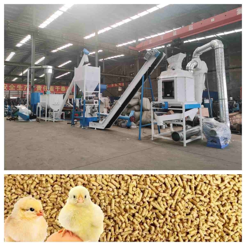 Dây chuyền sản xuất viên thức ăn chăn nuôi CE Máy ép viên thức ăn vòng 5t / H có máy tạo hơi nước