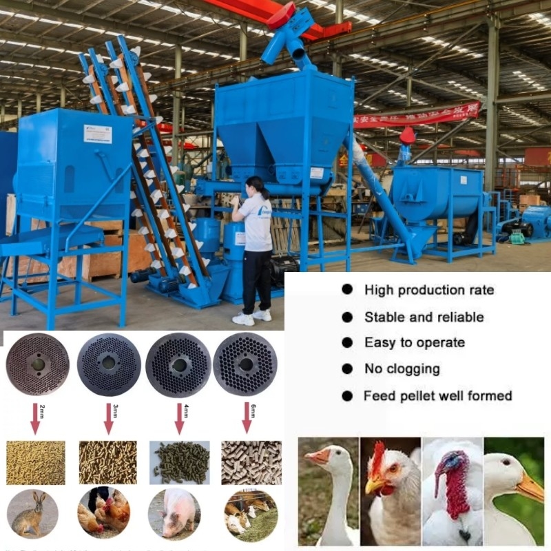 Máy ép viên thức ăn cho cừu ngang 1,5 tấn / H Máy ép viên bò cho thức ăn gia súc