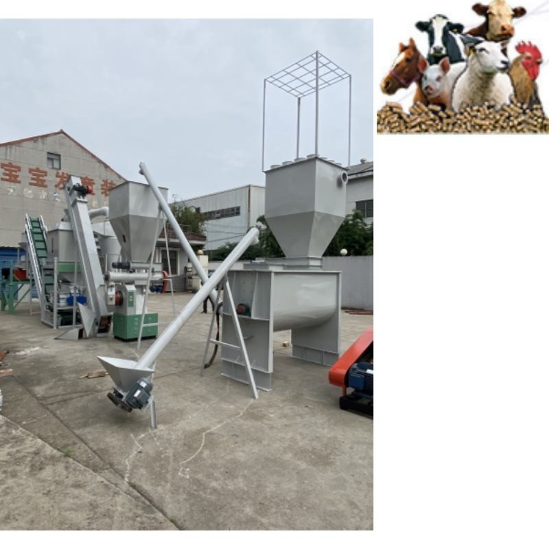 Dây chuyền sản xuất viên thức ăn chăn nuôi 500kg / H Vòng chết Thức ăn gia cầm Máy nghiền thức ăn chăn nuôi