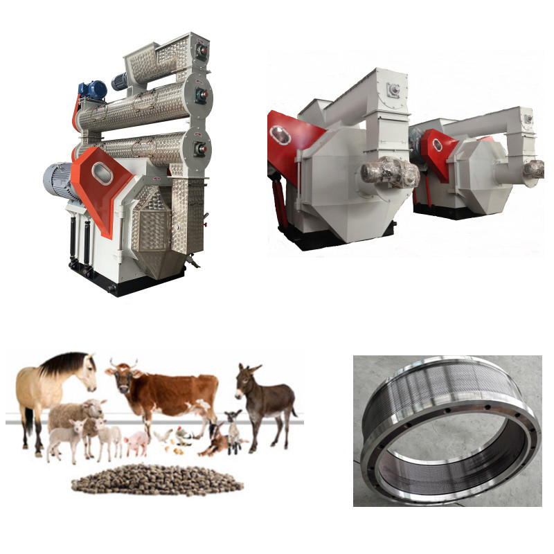 Dòng sản xuất hạt thức ăn hiệu quả cao Clean Crush Mix Granulate Cool Screen Pack