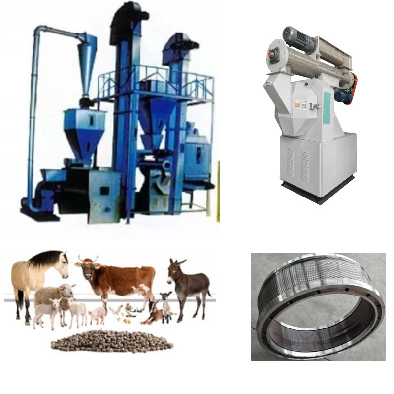Dòng sản xuất hạt thức ăn hiệu quả cao Chất hỗn hợp nghiền sạch Granulate Cool Screen & Pack