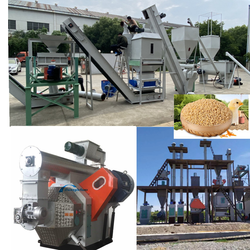 Dòng sản xuất hạt thức ăn hiệu quả cao Clean Crush Mix Granulate Cool Screen Pack