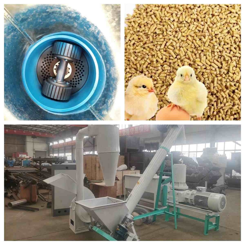 Máy sản xuất viên thức ăn chăn nuôi phẳng 300kg / H -1000Kg / H Dây chuyền sản xuất viên thức ăn chăn nuôi nhỏ