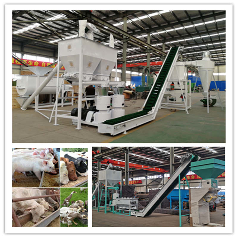 0.5-30 tấn / giờ dây chuyền sản xuất hạt thức ăn động vật với nhà máy hạt đệm vòng