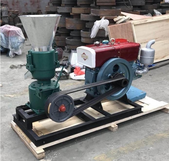 22HP Feed Pellet Mill tùy chỉnh màu sắc cho thức ăn gà