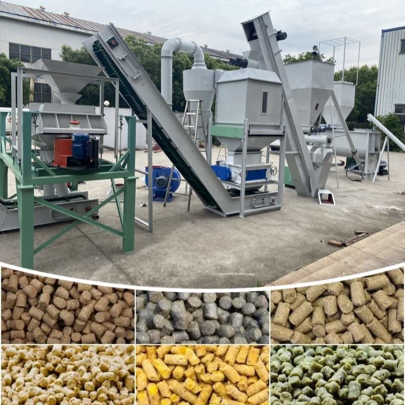 0.5-30 tấn / giờ dây chuyền sản xuất hạt thức ăn động vật với nhà máy hạt đệm vòng