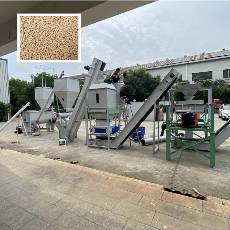 1-12mm Final Pellet Size Ring Die Pellet Mill Type Animal Feed Pelletizing Line (Mẫu dây chuyền làm hạt thức ăn động vật)