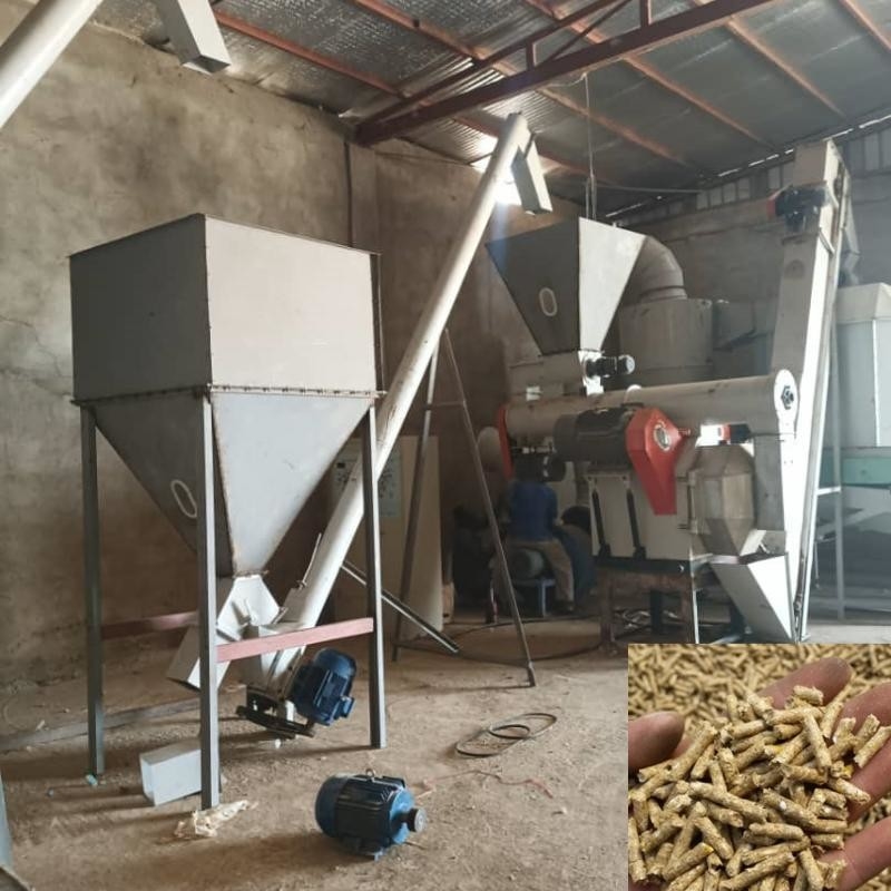 Động vật Chăn nuôi Pellet dây chuyền sản xuất Chăn nuôi gia cầm Chăn nuôi Chăn nuôi Chăn nuôi máy làm ra pellets cho thức ăn động vật