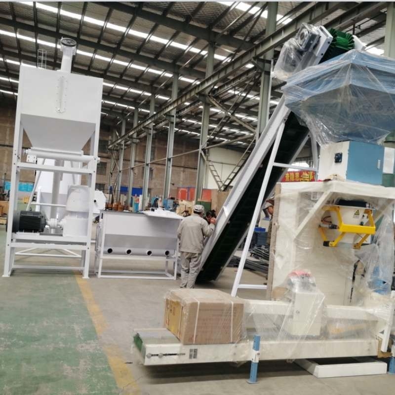 1Ton / h tùy chỉnh Granulator Bio-Pellet đặc biệt, Granulator gạo vỏ rơm, dây chuyền sản xuất hạt nhiên liệu chip gỗ