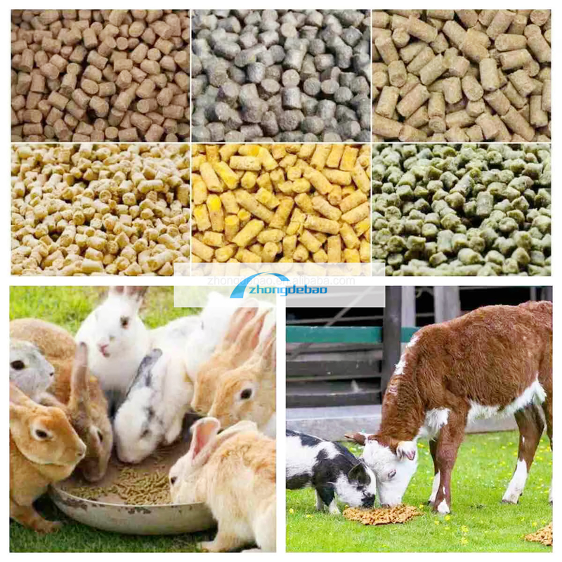 600-800 KG/h sản lượng cá động vật nhà máy thức ăn chó và mèo thức ăn pellets thiết bị thực phẩm máy extruder pelletizer