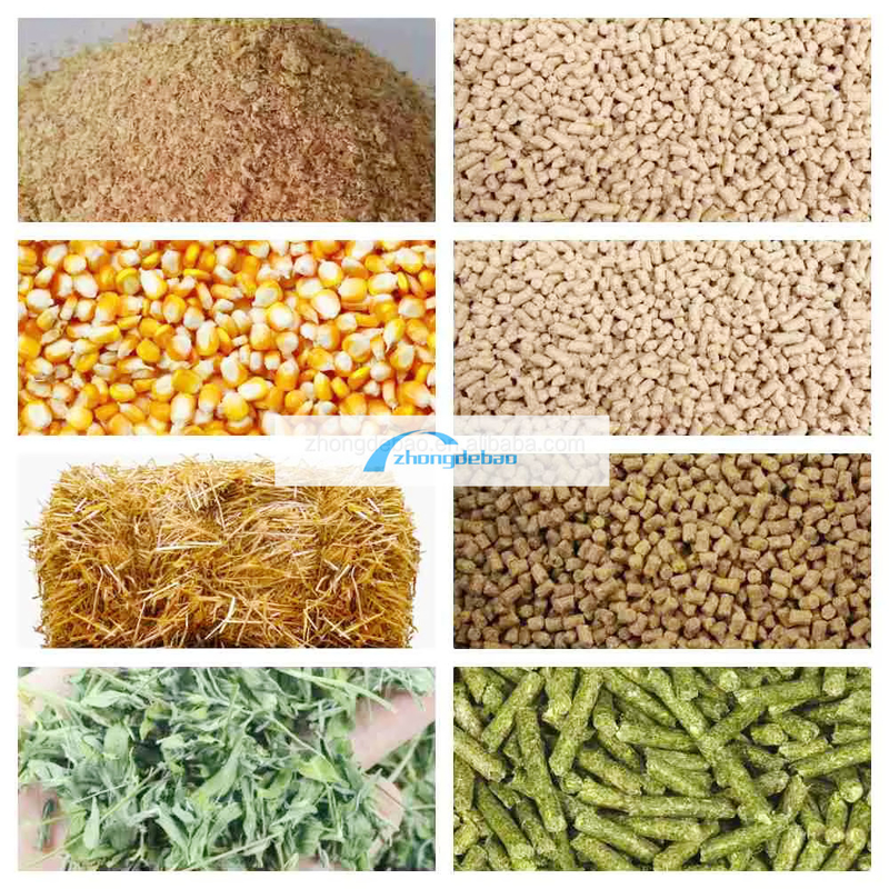 600-800 KG/h sản lượng cá động vật nhà máy thức ăn chó và mèo thức ăn pellets thiết bị thực phẩm máy extruder pelletizer