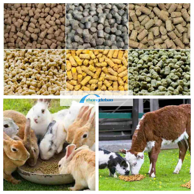 300-400 KG / H máy nén hạt thực phẩm thú cưng với năng suất cao