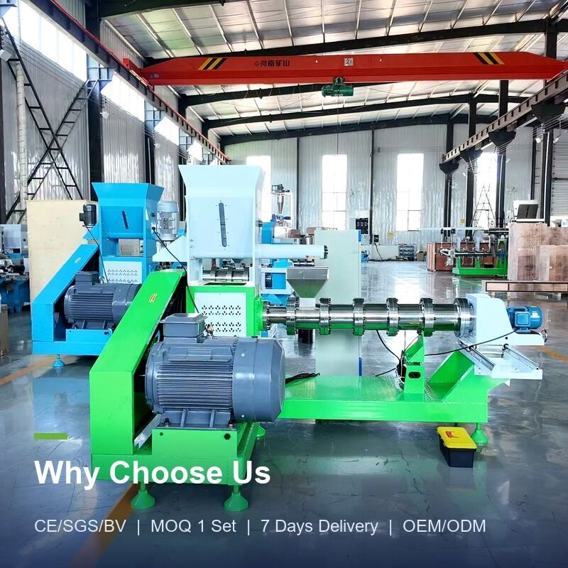 Máy đùn viên thức ăn tôm nổi DGP100 cho ngành nuôi trồng thủy sản thương mại với thiết kế tiết kiệm năng lượng cho nhà máy thức ăn