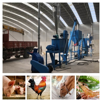 Máy làm viên thức ăn chăn nuôi 30kw Trang trại bảo trì thấp Nhà máy thức ăn chăn nuôi